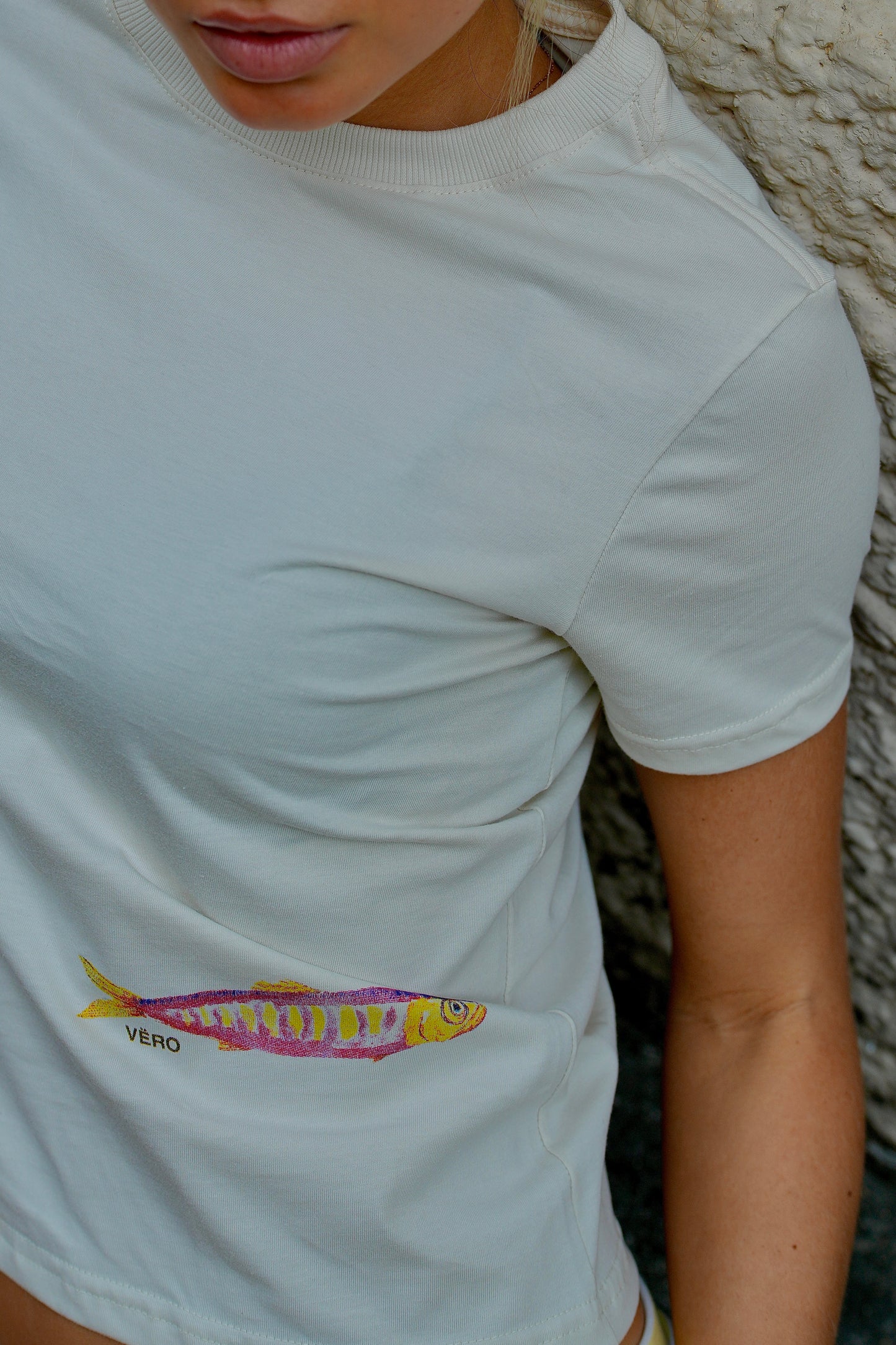 TS-02 SARDINE
